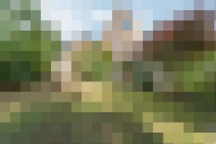 Fruithoeve 48 Arnhem thumbnail 32