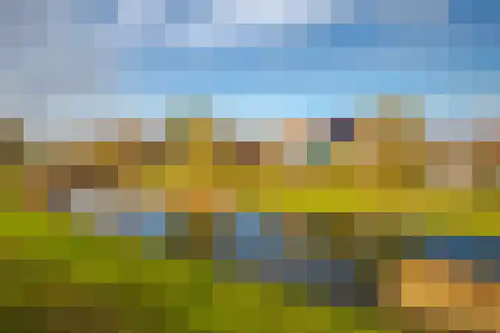 Fruithoeve 48 Arnhem thumbnail 33