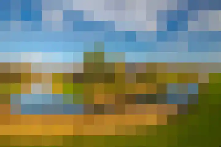 Fruithoeve 48 Arnhem thumbnail 34
