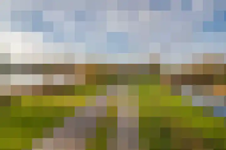 Fruithoeve 48 Arnhem thumbnail 35