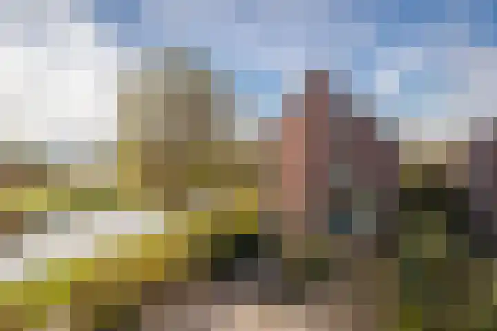 Fruithoeve 48 Arnhem thumbnail 5