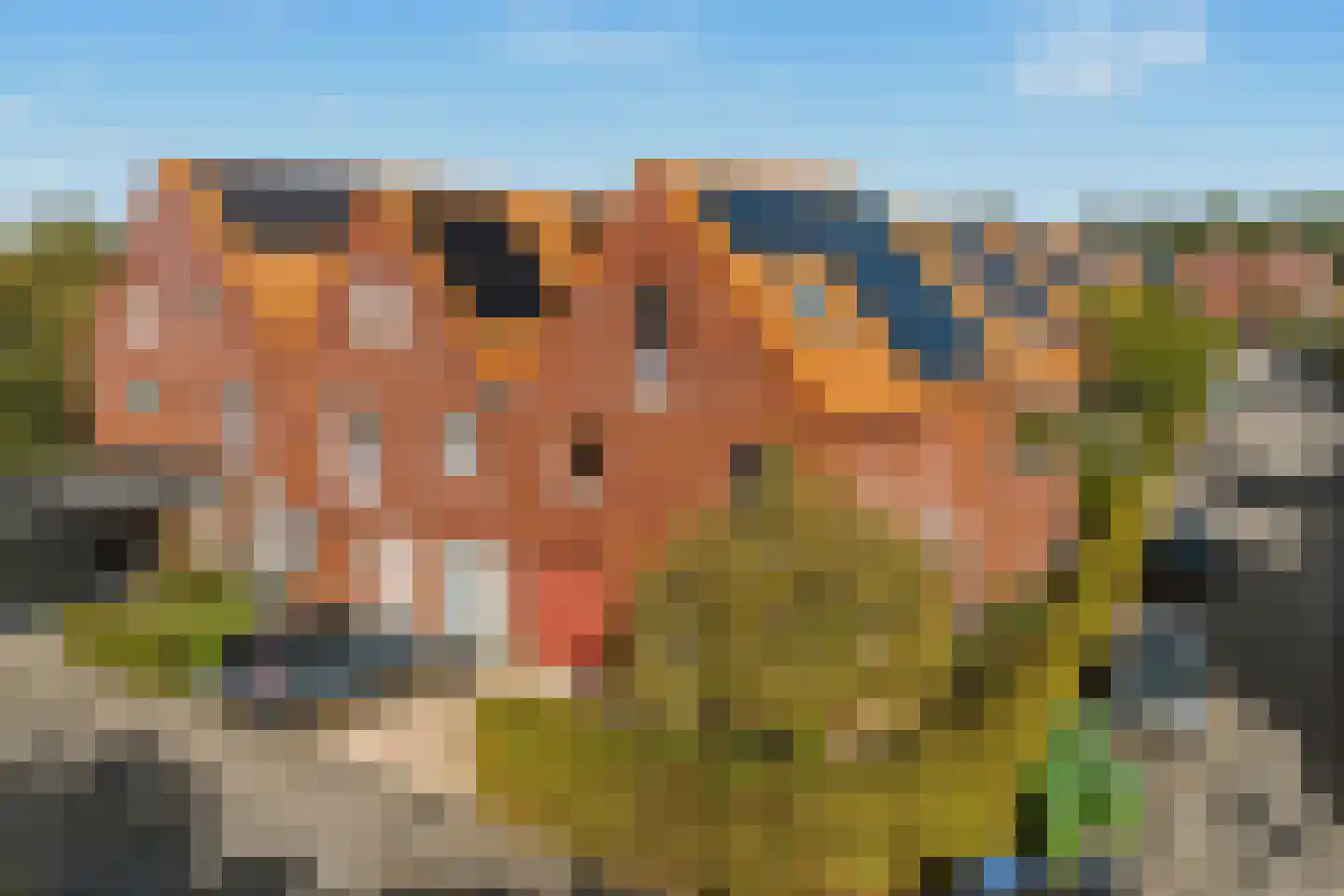 Fruithoeve 9 in Arnhem