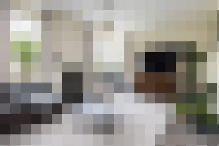 Fruithof 15 Heerewaarden thumbnail 10