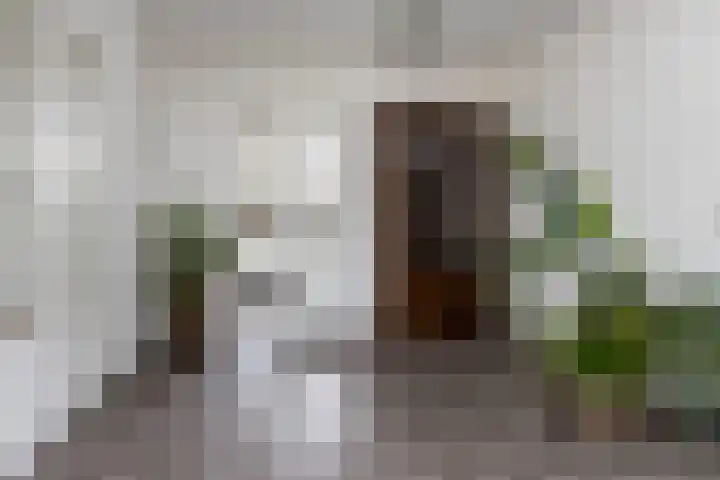 Fruithof 15 Heerewaarden thumbnail 15
