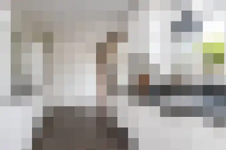 Fruithof 15 Heerewaarden thumbnail 25