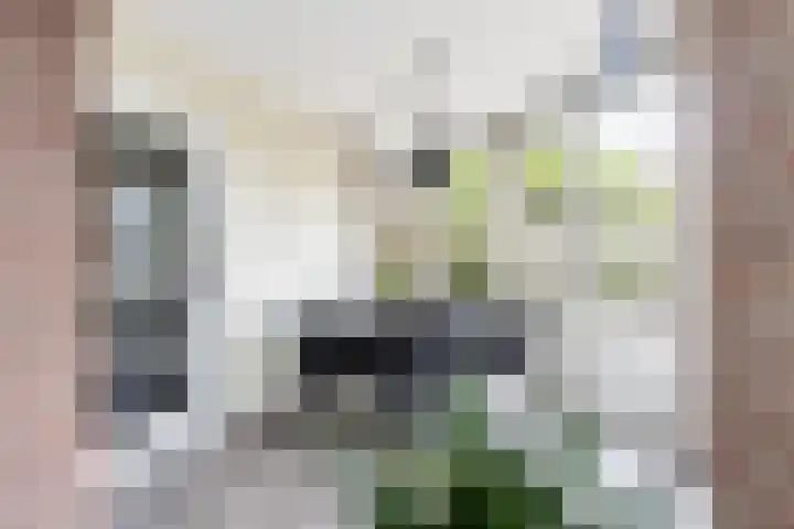 Fruithof 15 Heerewaarden thumbnail 26
