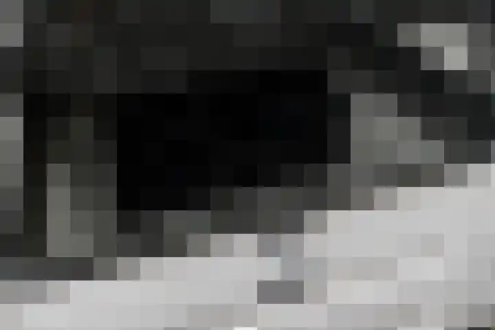 Fruithof 15 Heerewaarden thumbnail 27