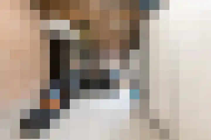 Fruithof 15 Heerewaarden thumbnail 31