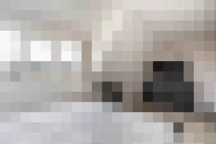Fruithof 15 Heerewaarden thumbnail 37