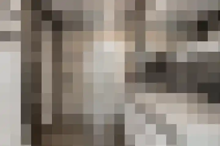 Fruithof 15 Heerewaarden thumbnail 43