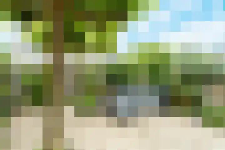 Fruithof 15 Heerewaarden thumbnail 53