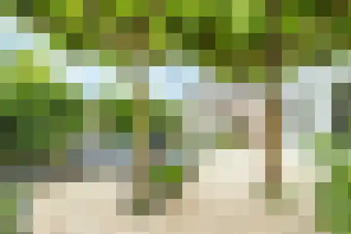 Fruithof 15 Heerewaarden thumbnail 54