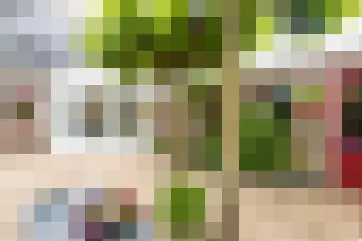 Fruithof 15 Heerewaarden thumbnail 56
