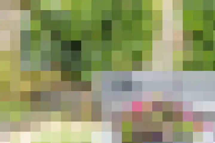 Fruithof 15 Heerewaarden thumbnail 58