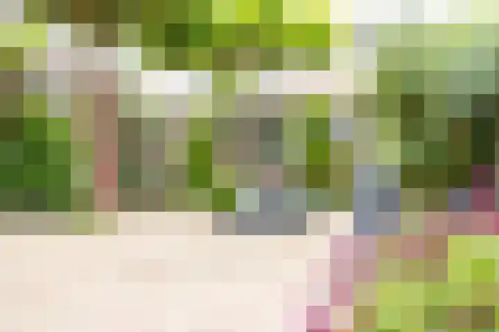 Fruithof 15 Heerewaarden thumbnail 59