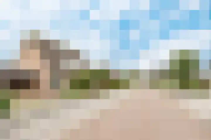 Fruithof 15 Heerewaarden thumbnail 62