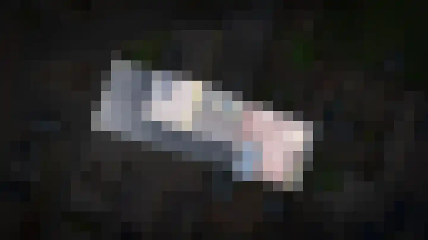 Fruithof 18 Heerewaarden thumbnail 41