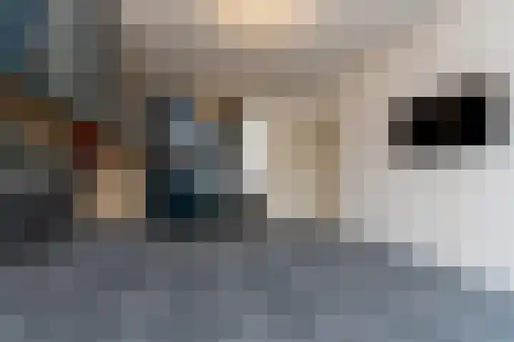Fruithof 2 Heerewaarden thumbnail 23