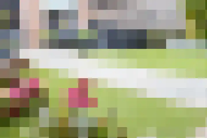Fruithof 2 Heerewaarden thumbnail 44