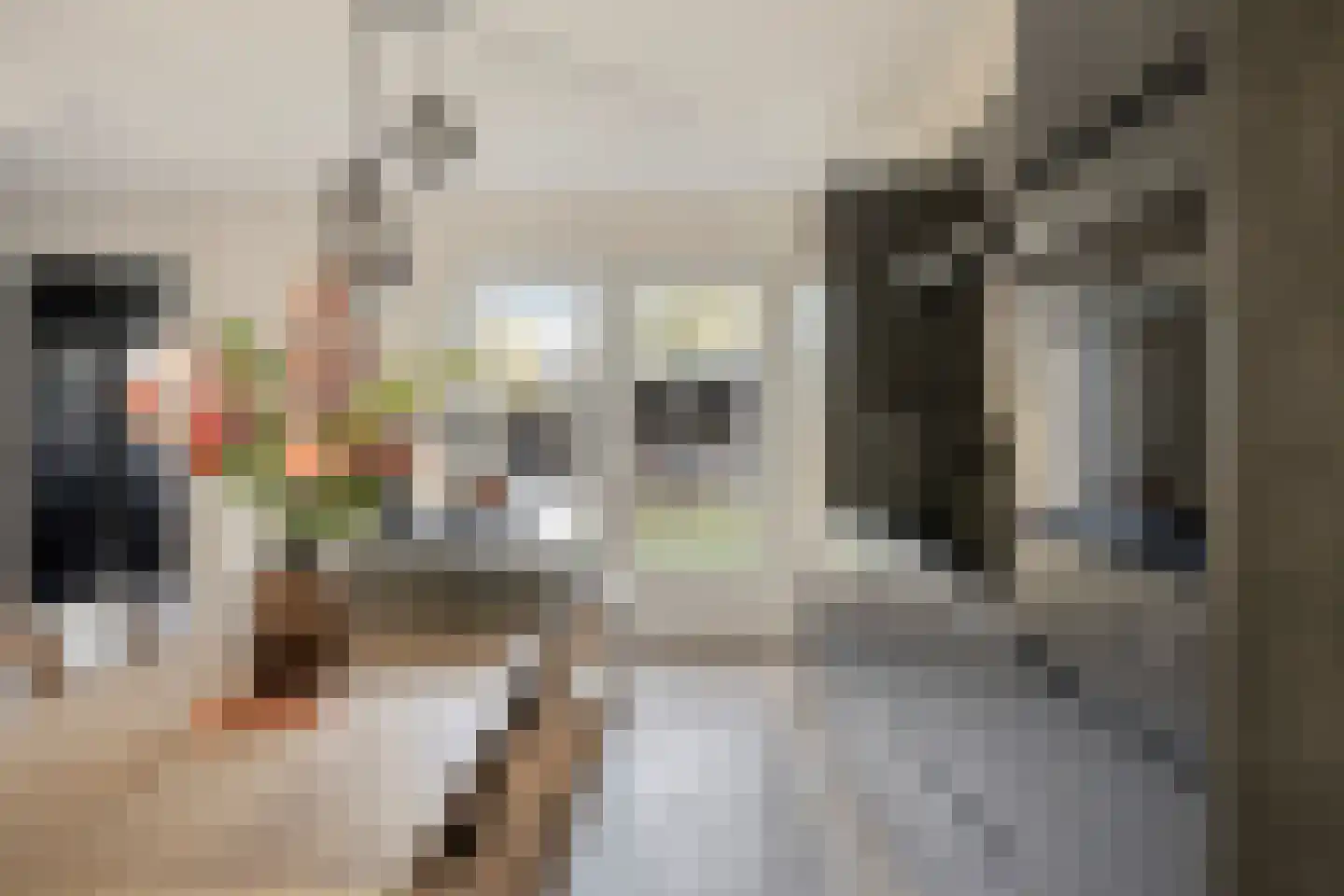 Fruithof 21 Ingen thumbnail 16