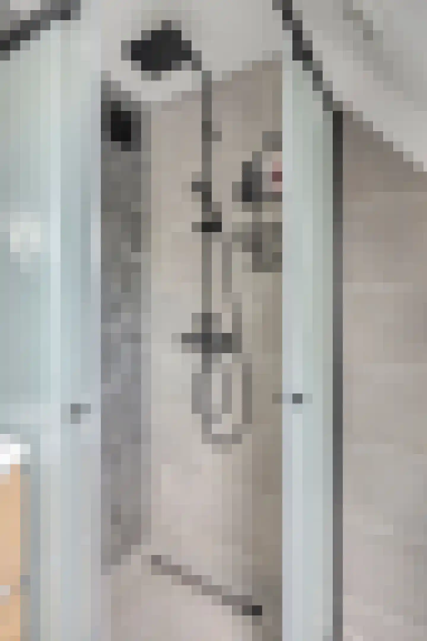Fruithof 21 Ingen thumbnail 28