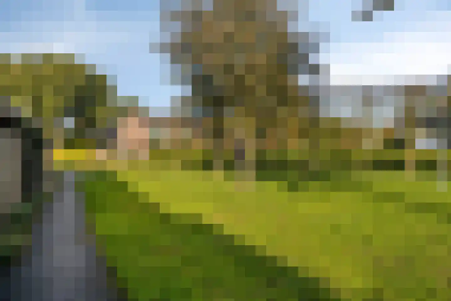 Fruithof 21 Ingen thumbnail 40