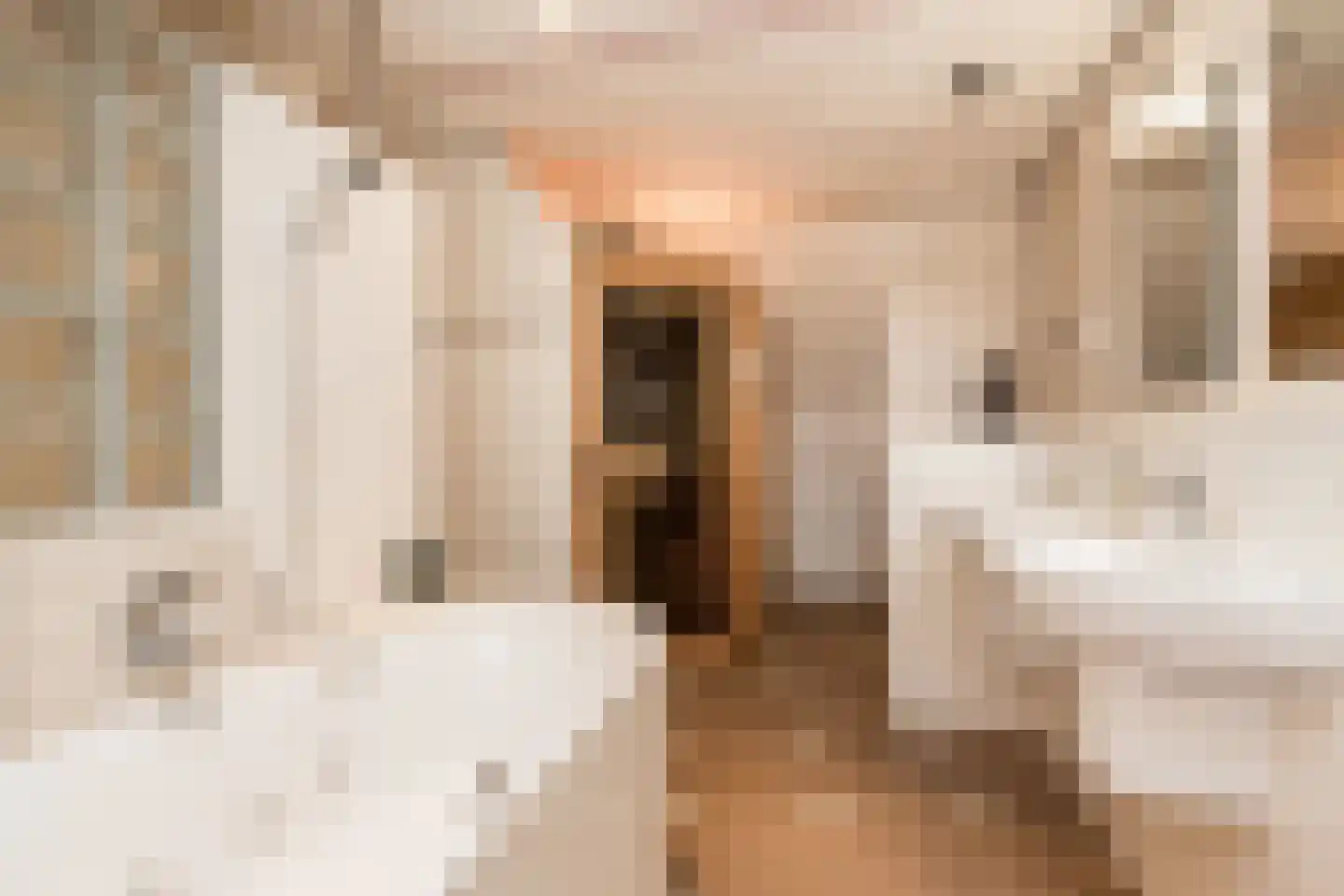 Fruithof 24 Heerewaarden thumbnail 37