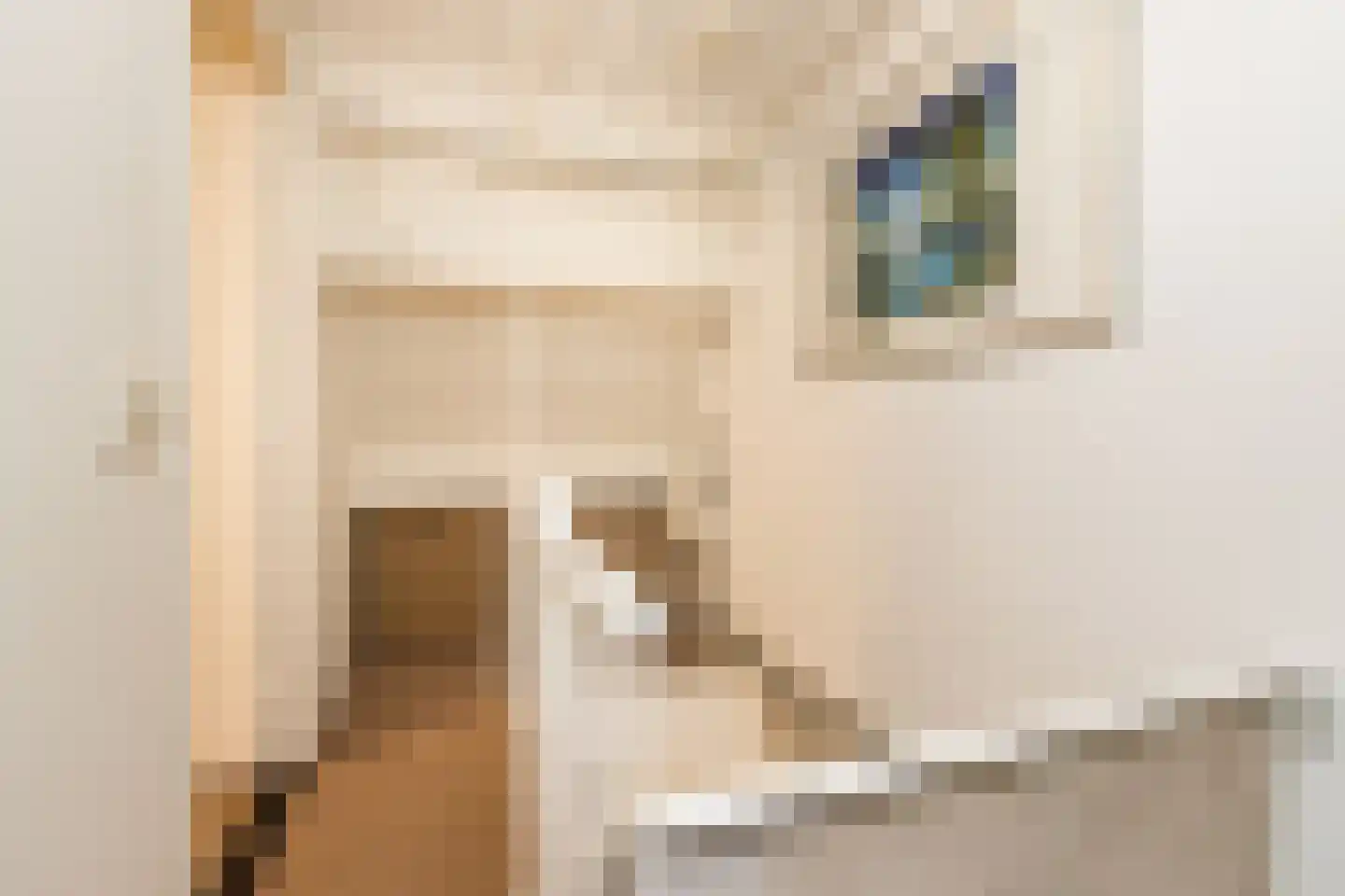Fruithof 24 Heerewaarden thumbnail 46