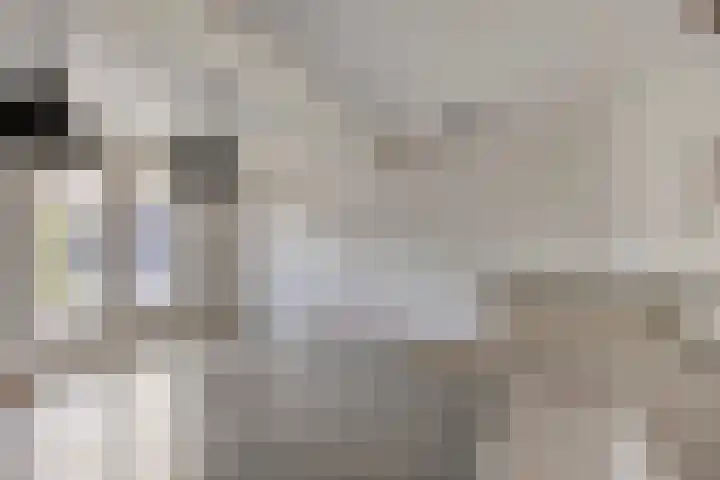 Fruithof 25 Ingen thumbnail 14