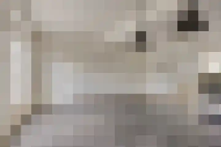 Fruithof 25 Ingen thumbnail 15