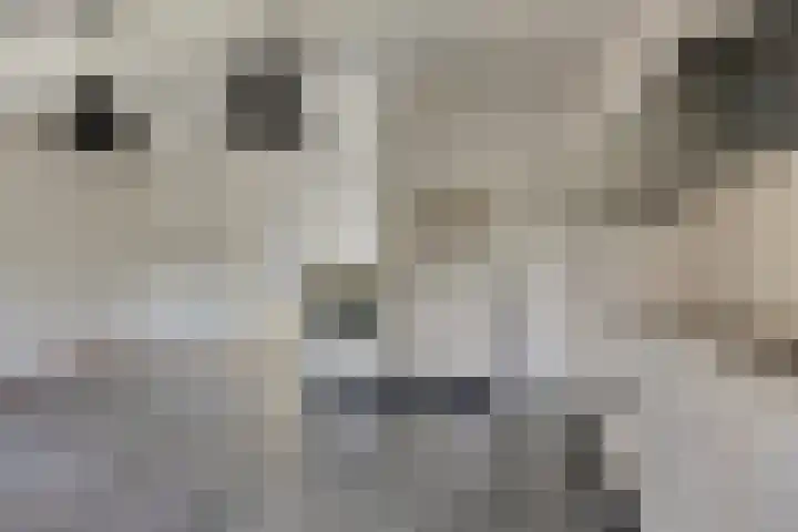Fruithof 25 Ingen thumbnail 16