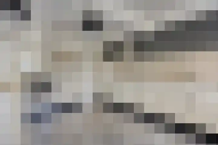 Fruithof 25 Ingen thumbnail 17