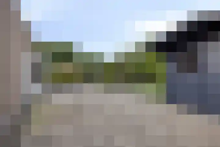 Fruithof 25 Ingen thumbnail 38
