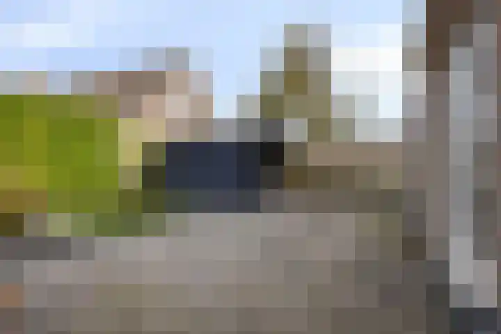 Fruithof 25 Ingen thumbnail 44