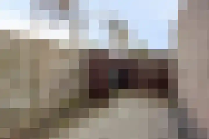 Fruithof 25 Ingen thumbnail 45