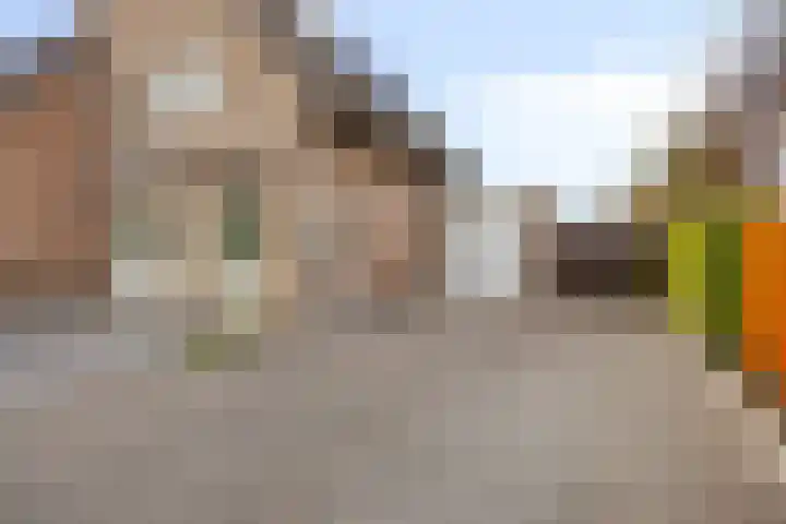 Fruithof 25 Ingen thumbnail 53