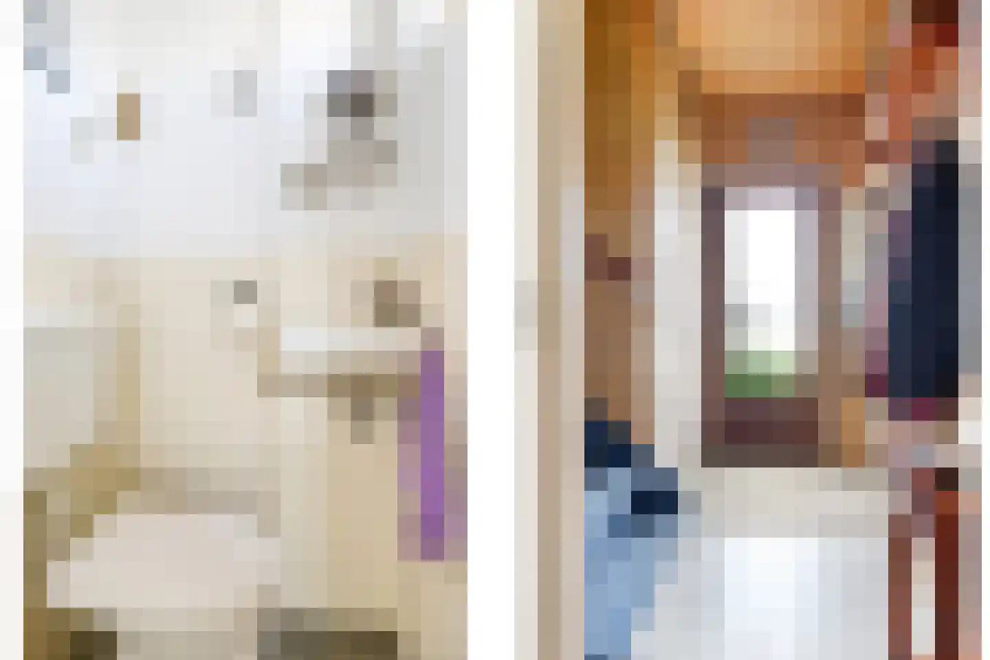 Fruithofstraat 16 Andelst thumbnail 10