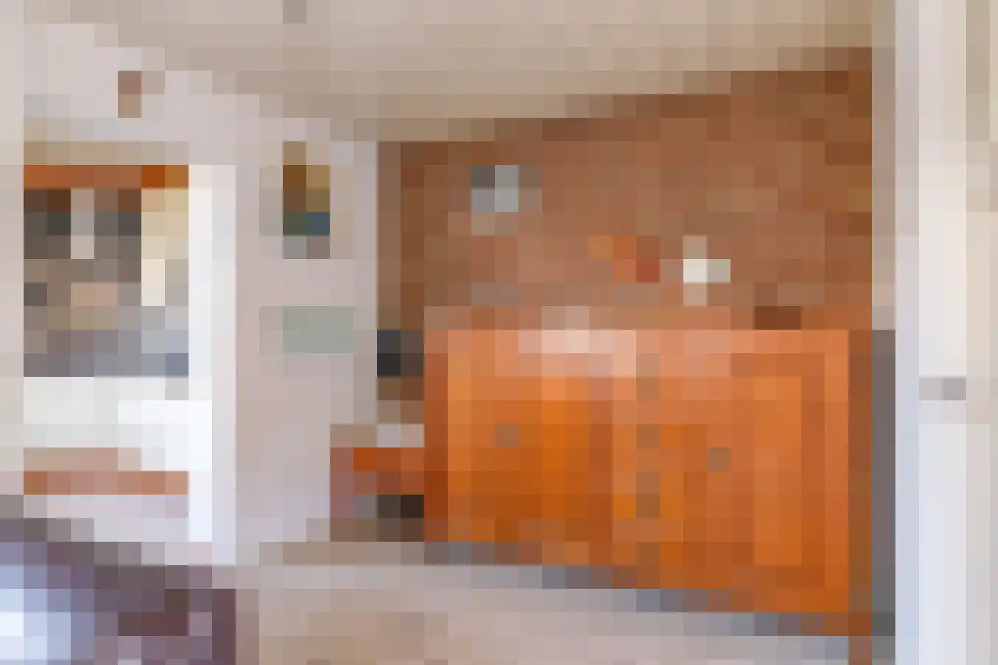 Fruithofstraat 16 Andelst thumbnail 22