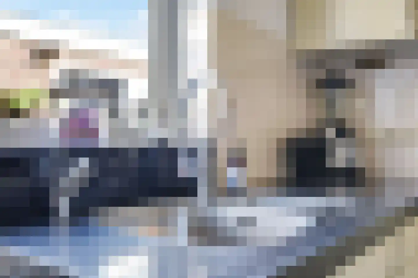 Fruithofstraat 16 Andelst thumbnail 28