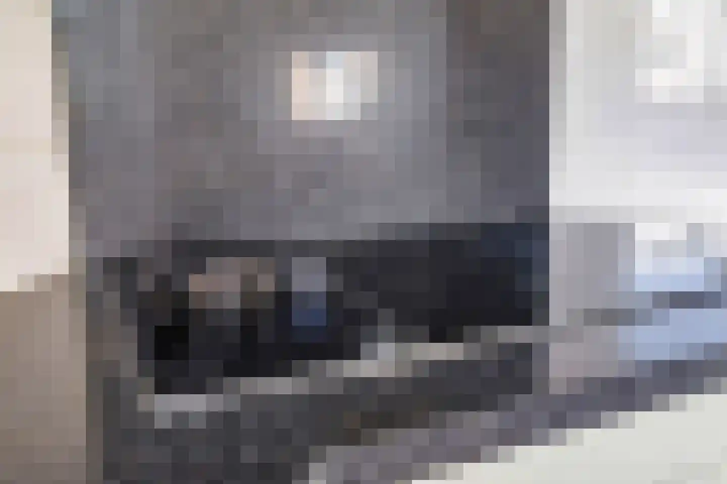 Fruithofstraat 16 Andelst thumbnail 29