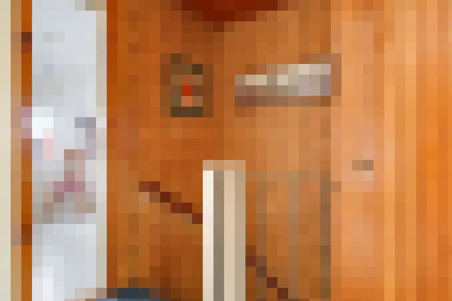 Fruithofstraat 16 Andelst thumbnail 43