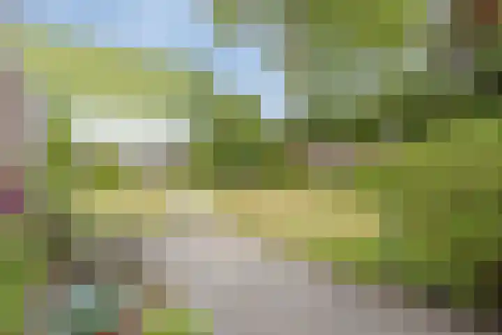 Fruitlaan 10 Goes thumbnail 28