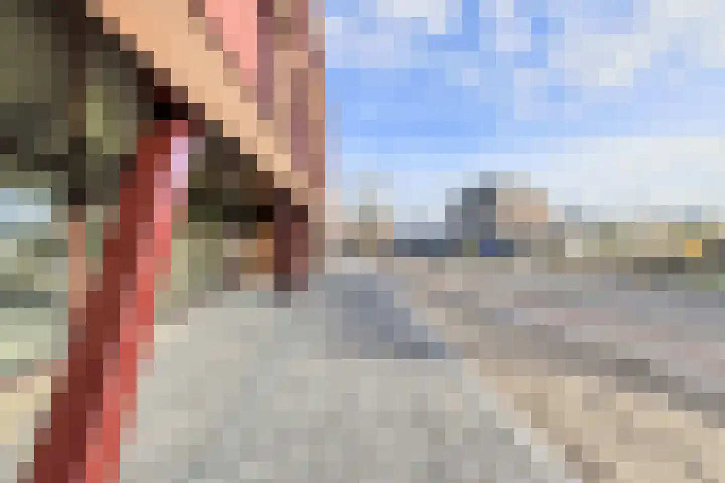 Fruitlaan 11 Breda thumbnail 4