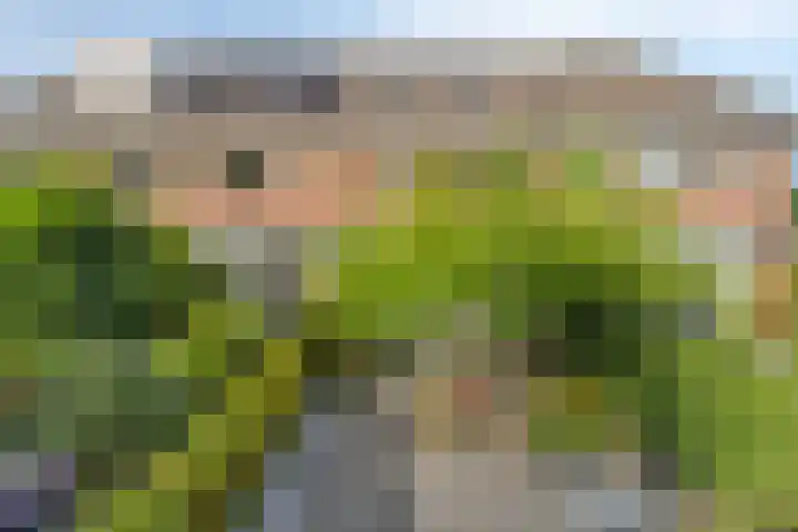 Fruitlaan 14 Bemmel