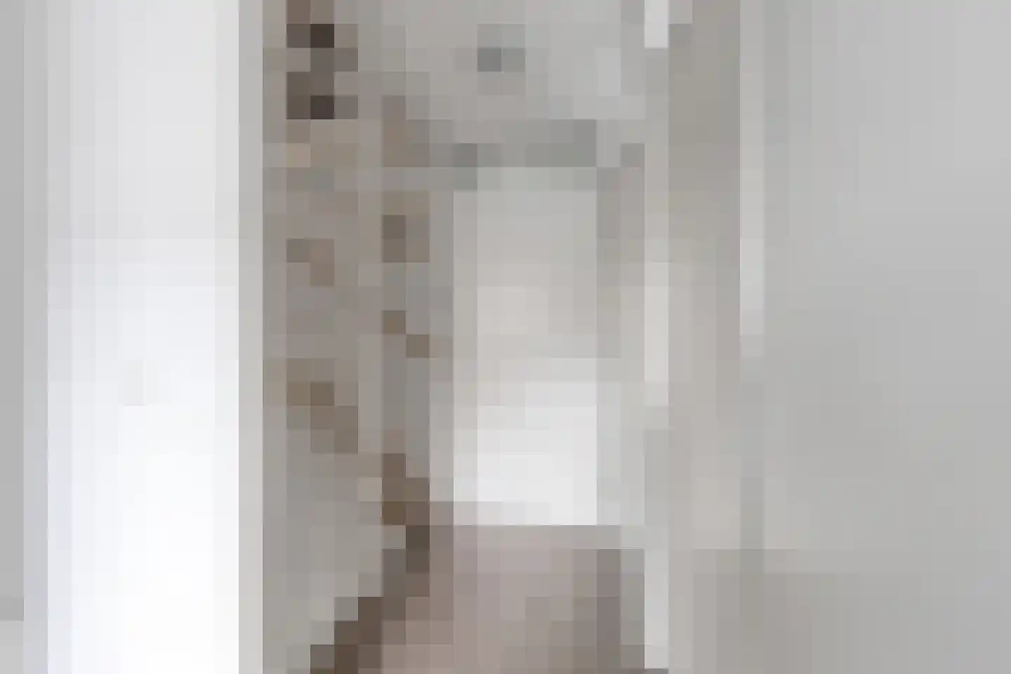 Fruitlaan 16 Bemmel thumbnail 13