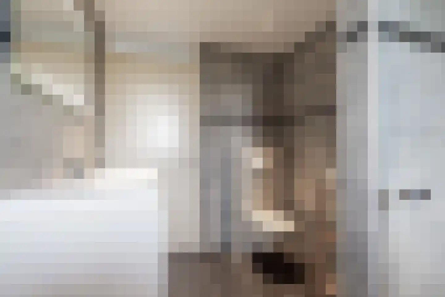 Fruitlaan 16 Bemmel thumbnail 18