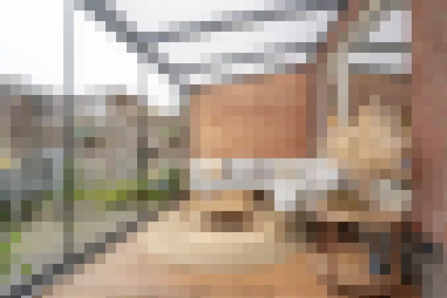 Fruitlaan 16 Bemmel thumbnail 25