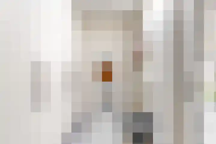 Fruitlaan 23 Zwaag thumbnail 15