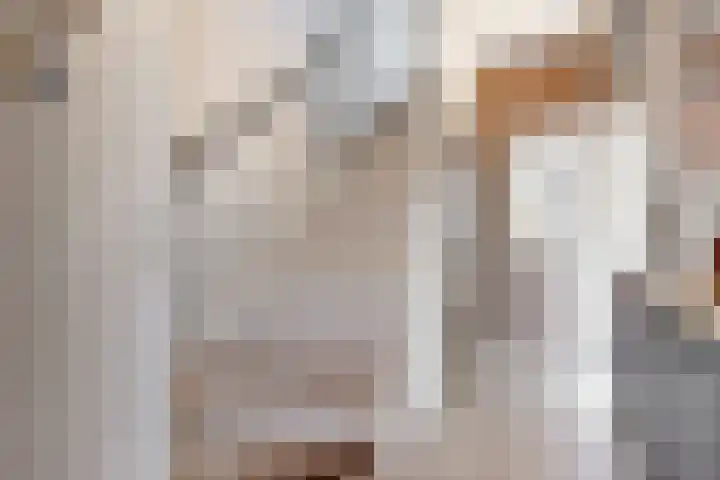 Fruitlaan 23 Zwaag thumbnail 17