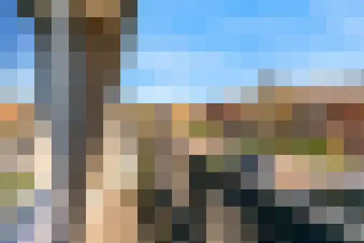 Fruitlaan 23 Zwaag thumbnail 33